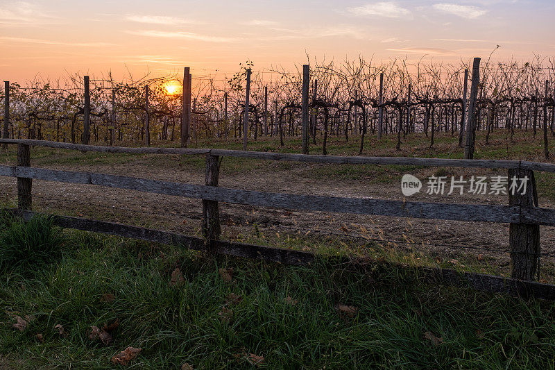 Collalto(电视)Veneto,Prosecco hills,sunset,2